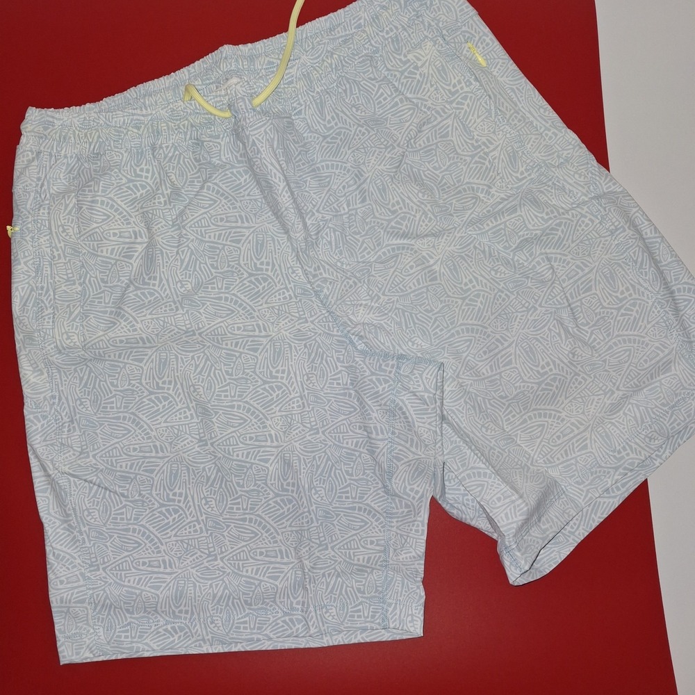 Bird Dogs: Brad Schittz Lined Swim Trunk XL-LONG, Light Blue and White
